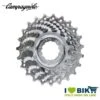 Cassetta Campagnolo VELOCE UD 9v 14/28 Online Store -Shimanotoz Outlet cassetta campagnolo veloce ud 9v 1428 bike store